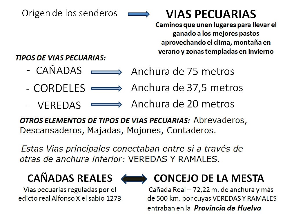 030-vias-pecuarias-del-power